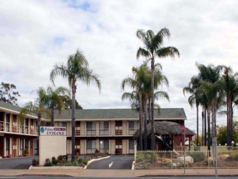 Motel The Palms Dubbo Zewnętrze zdjęcie